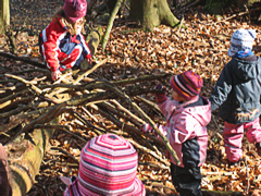 Spiel im Wald